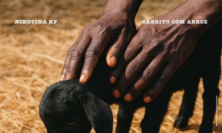 Nikotina KF - Arroz Com Cabrito (Freestyle)