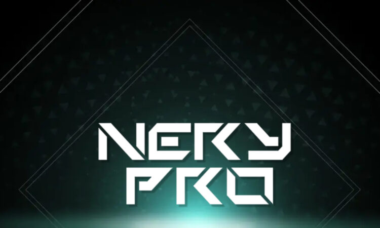 Nery Pro ft. Dj Stony B - Ok Ok (Instrumental Afro House)