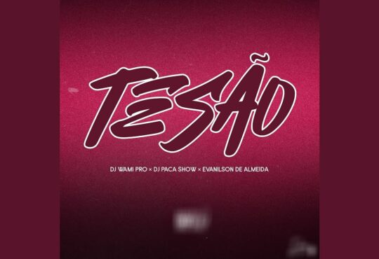Dj Wami Pro ft. Evanilson de Almeida x Dj Paca Show - Tesão (Remix)