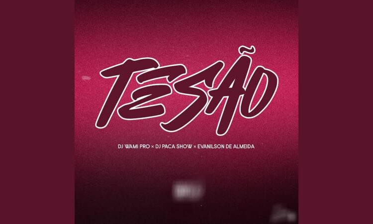 Dj Wami Pro ft. Evanilson de Almeida x Dj Paca Show - Tesão (Remix)