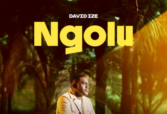 David Ize - Ngolu