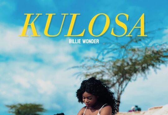 Billien Wonder - Kulosa